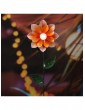 Außenbeleuchtung | MARELIDA LED Solar Gartenstecker Blume in orange - VN11406