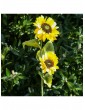 Außenbeleuchtung | MARELIDA LED Solar Gartenstecker Sonnenblume in gelb - HL34839