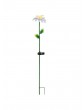 Außenbeleuchtung | STAR Trading LED Solar Gartenstecker Blume Gänsemblüchen in weiß - RW68579