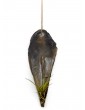 Weitere Gartenartikel | MeinVIPShop Faszinierende Pinnidae Muschel mit einer Tillandsia 2 er Set - JI30352