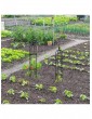 Weitere Gartenartikel | Relaxdays 2 x Rankhilfe in Schwarz - HZ55062