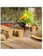 Weitere Gartenartikel | Relaxdays 800x Anzuchttöpfe in Beige - FG62209