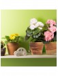 Weitere Gartenartikel | Relaxdays Blumenkasten in Natur - LX39794