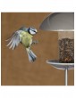 Weitere Gartenartikel | Relaxdays Vogelfutterspender in Silber - QV81562