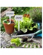 Gartendekoration | Relaxdays 100x Pflanzenschilder in Weiß - ZQ00472