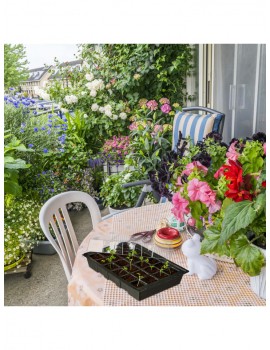 Gartendekoration | Relaxdays 10x Mini-Anzuchthaus in Schwarz - LT41020