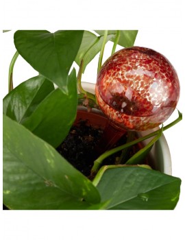 Gartendekoration | Relaxdays 2x Bewässerungskugel in Rot - CR30182