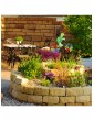 Gartendekoration | Relaxdays 2x WindradSchildkröte in Bunt - CR50604