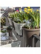 Gartendekoration | Relaxdays 4x Bewässerungskugel in Blau - AI72778