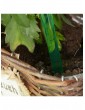 Gartendekoration | Relaxdays 4x Bewässerungskugeln in Grün - OB15869