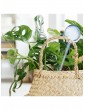 Gartendekoration | Relaxdays 4x Bewässerungskugeln in Rot - WY57914