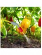 Gartendekoration | Relaxdays Drucksprüher in Weiß - YC00539