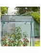 Gartendekoration | Relaxdays Foliengewächshaus in Transparent - SR14223