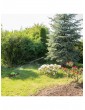 Gartendekoration | Relaxdays Impulsregner in Grün - XH44478