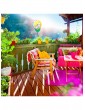 Gartendekoration | Relaxdays Windrad in Bunt - WE12963
